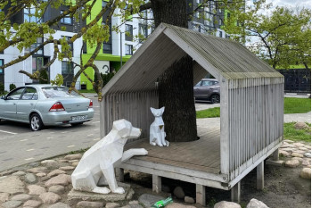 Жилой дом по улице Микояна д. 1 в Копище